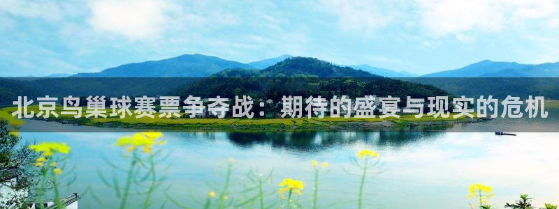 北京鸟巢球赛票争夺战：期待的盛宴与现实的危机