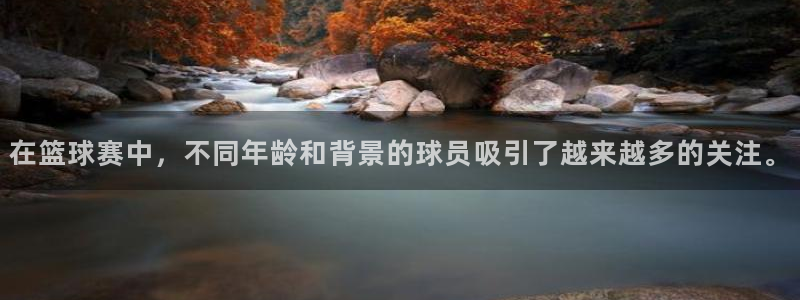 B体育官网app下载爱查股：在篮球赛中，不同年龄和背景的球员
