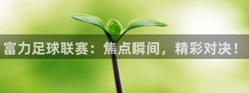  b体育手机版下载：富力足球联赛：焦点瞬间，精彩对决！