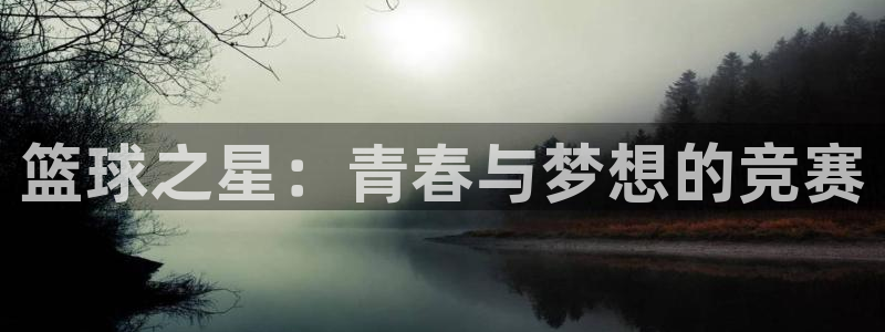  b体育官网旧版入口：篮球之星：青春与梦想的竞赛