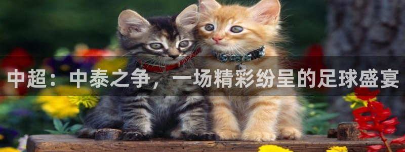 b体育：中超：中泰之争，一场精彩纷呈的足球盛宴