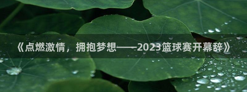  B0B体育网站入口：《点燃激情，拥抱梦想——2023篮球赛开