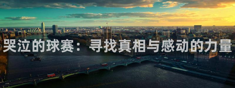  B0B体育app下载：哭泣的球赛：寻找真相与感动的力量