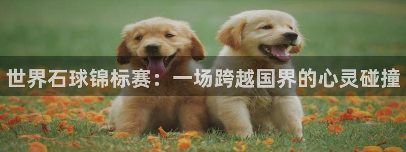  b体育官网登录：世界石球锦标赛：一场跨越国界的心灵碰撞